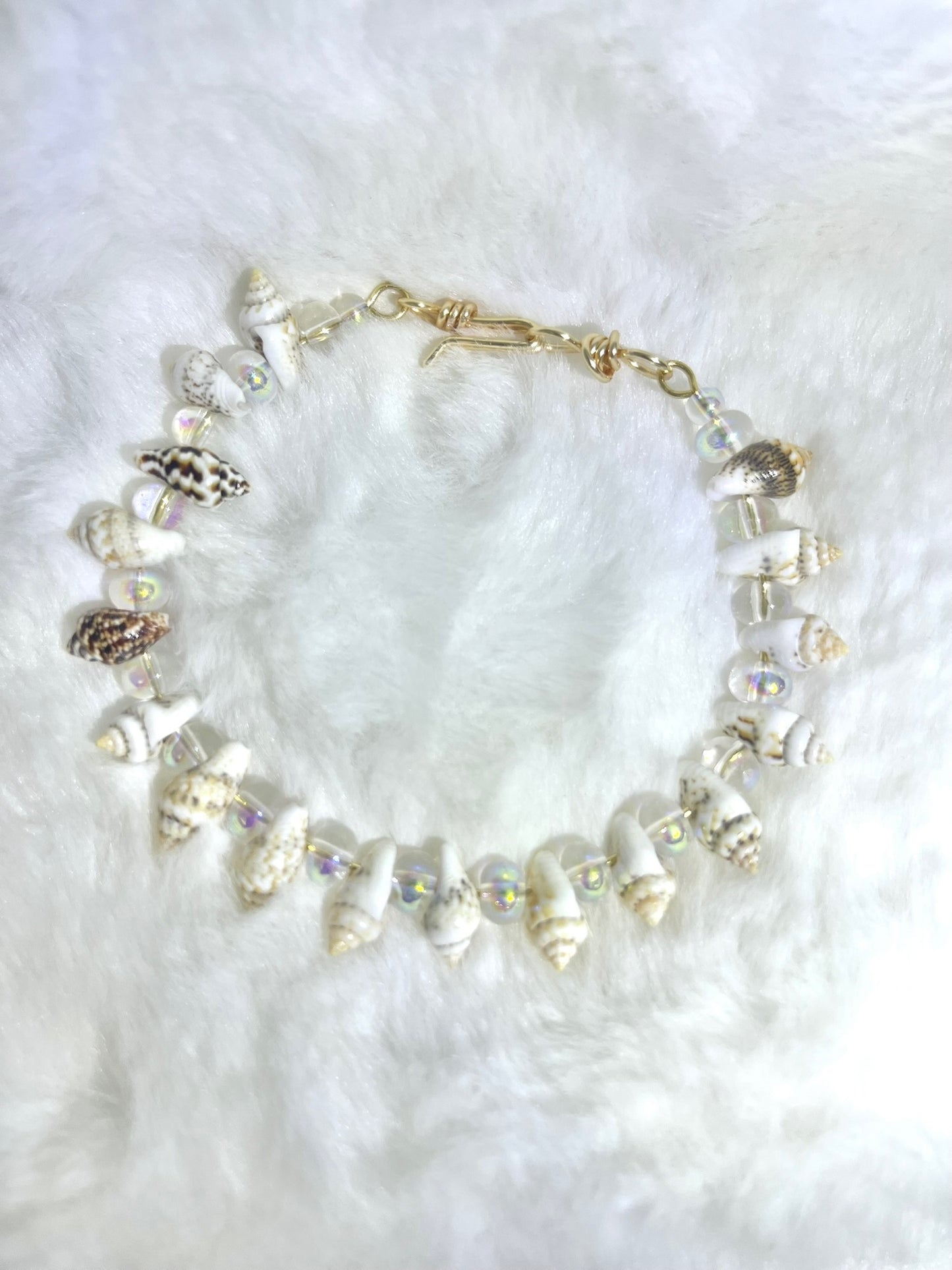 SHELL-O GORGEOUS  set